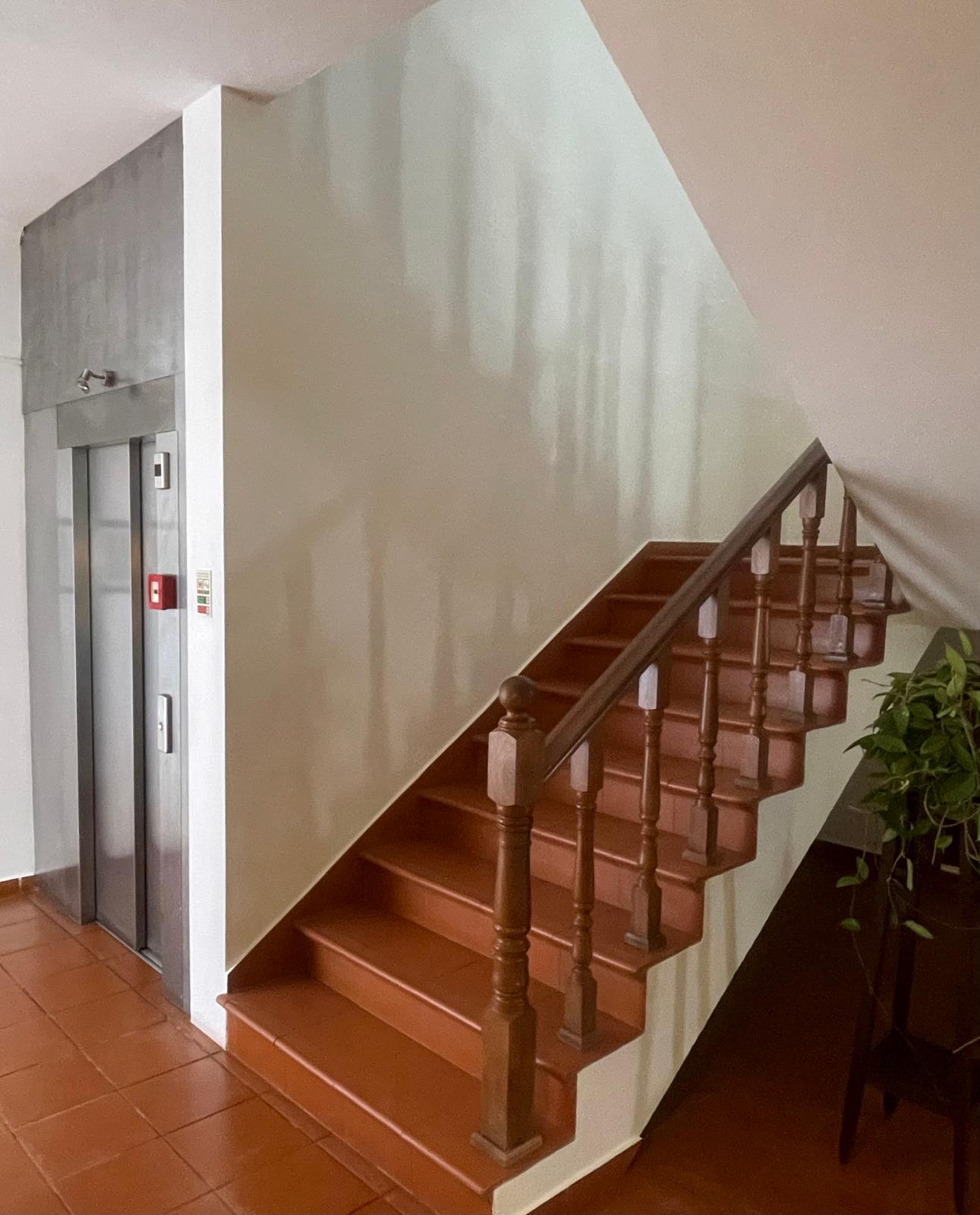 Escadaria interior em madeira com elevador